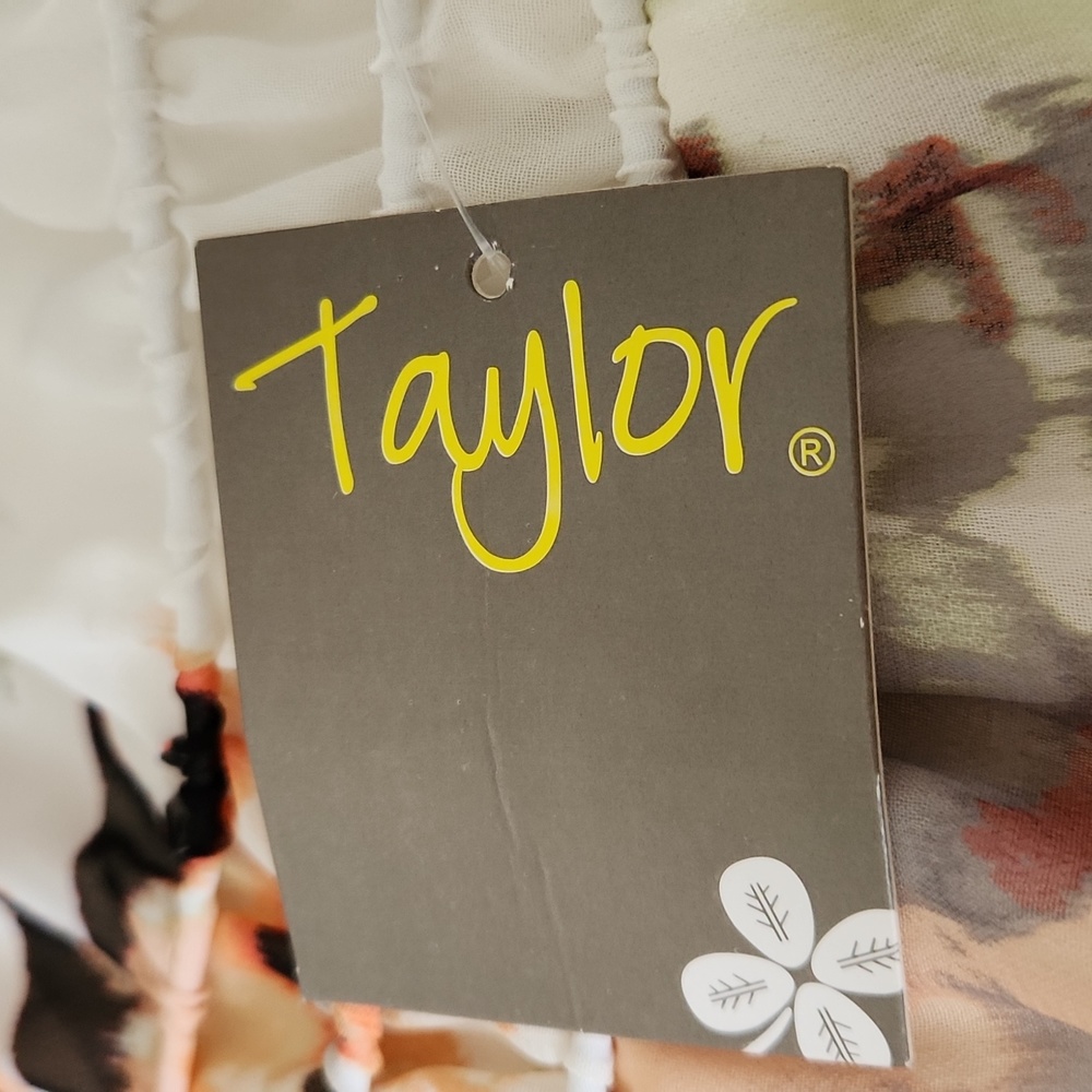 Taylor - Picture 5 of 9